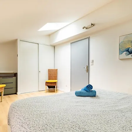 Apartamento Le Grand Jany Spacious T4 With Terrace Castanet-Tolosan