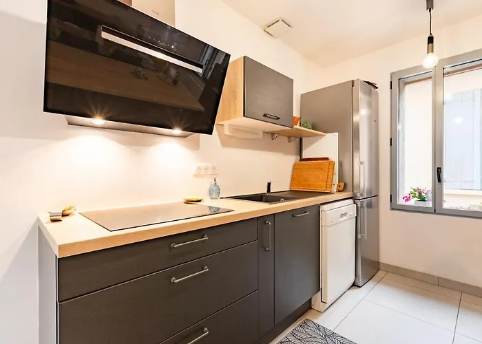 Le Grand Jany Spacious T4 With Terrace 公寓