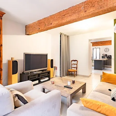 Le Grand Jany Spacious T4 With Terrace Castanet-Tolosan