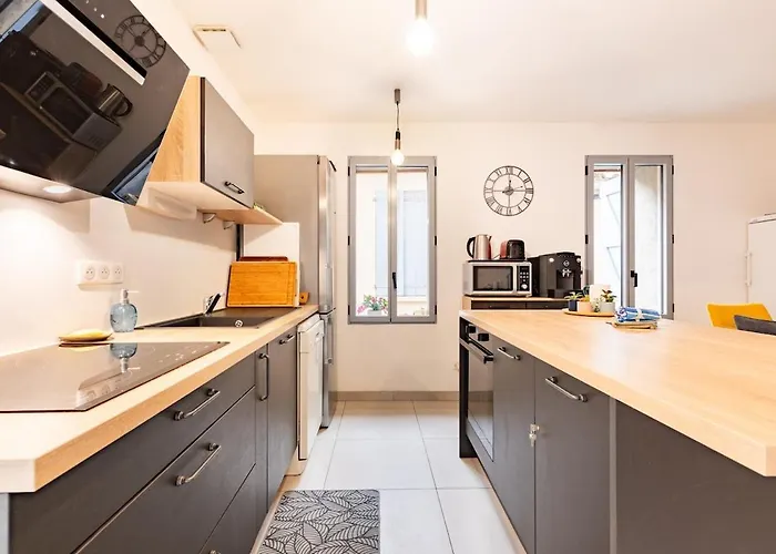 Le Grand Jany Spacious T4 With Terrace Castanet-Tolosan